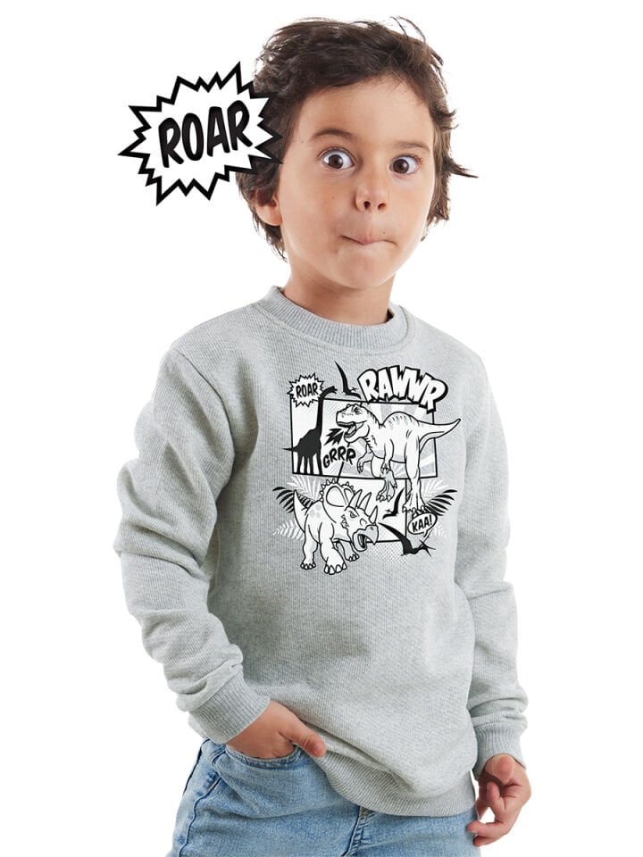 Rawr Dino Erkek Çocuk Gri Melanj Sweatshirt