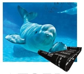 Atışkan ATSER ORCA (-10) ATC300 PLUS Su Yalıtım Membranı-10