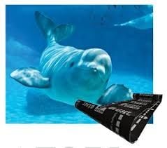 Atışkan ATSER ORCA (-10) ATP400 PLUS Su Yalıtım Membranı-10 m