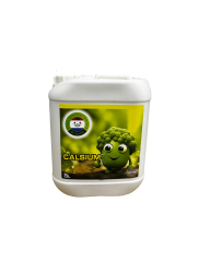R.D.N. CALCIUM 5 L