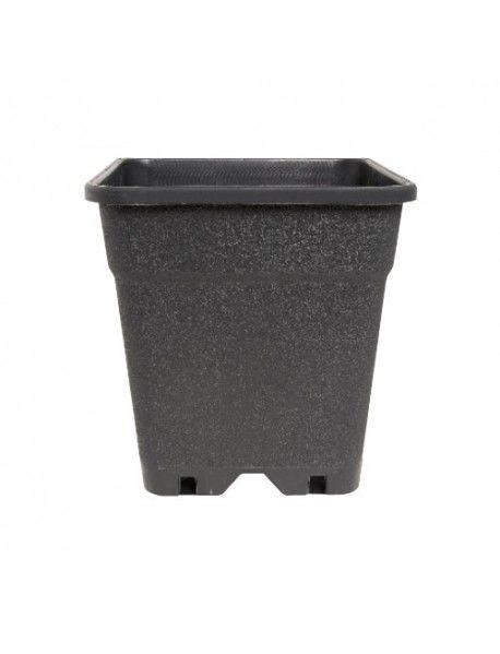 KARE SAKSI 6,5L
