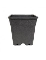 KARE SAKSI 6,5L