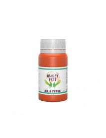BGP ASHLEY FERT ENZYME 250 ML