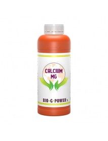 BGP CALCİUM MG 1L