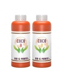 BGP COCO A+B 1L