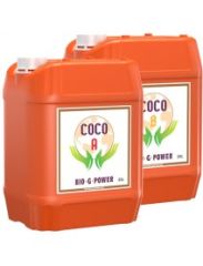 BGP COCO A+B 20  L
