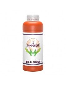 BGP EARTH 1 COMP 1 L