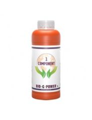 BGP EARTH 1 COMP 1 L