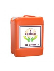 BGP EARTH 1 COMP 10 L