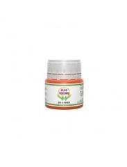 BGP LEAVE NUTRİTİON  YAPRAK GÜBRESİ 100 ML