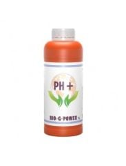 BGP PH+ 33% 1 L