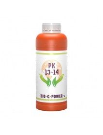 BGP PK 13/14 1L