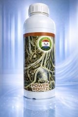 R.D.N. POWER ROOTZ 1 L