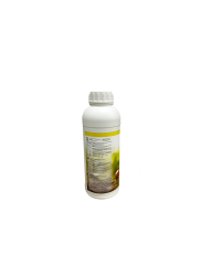 R.D.N. BASIC NUTRİTİON COCO A+B 500 ML