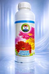 R.D.N. GROW POWER 1 L