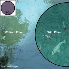 Sigma 62mm WR Coating Circular Polarize Filtre