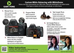 Gary Fong Wedding & Event Kit LSC SM-WE