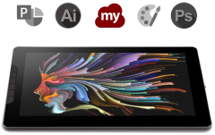 ViewSonic Notas 13.3 inch Profesyonel Grafik Tablet