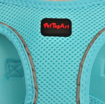 PetTagArt  Airmesh Turkuaz Göğüs Tasması