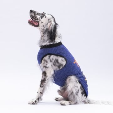 PawStar Lacivert Travel Büyük Irk T-Shirt