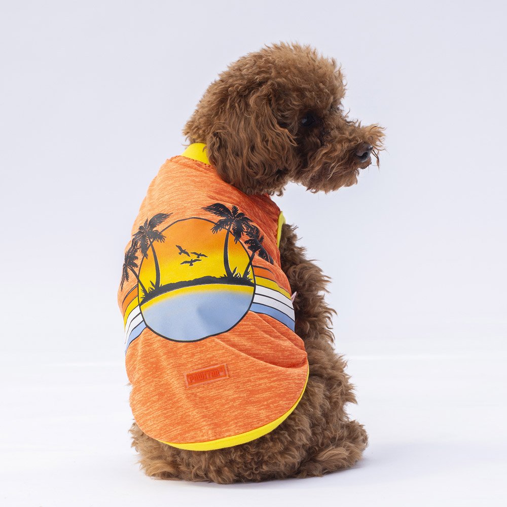 PawStar Turuncu Sunrise T-Shirt