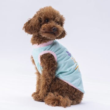 PawStar Mint Joy Büyük Irk T-Shirt