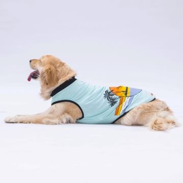 PawStar Mint Sunrise Büyük Irk T-Shirt