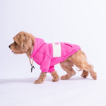 PawStar Pembe Cute Hoodie Küçük ve Orta Irk