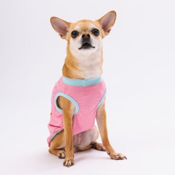 PawStar Pembe Aloha T-Shirt