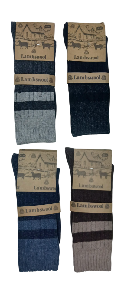 Miss Bella Kışlık Lambswool Yün Erkek Çorap 6'lı