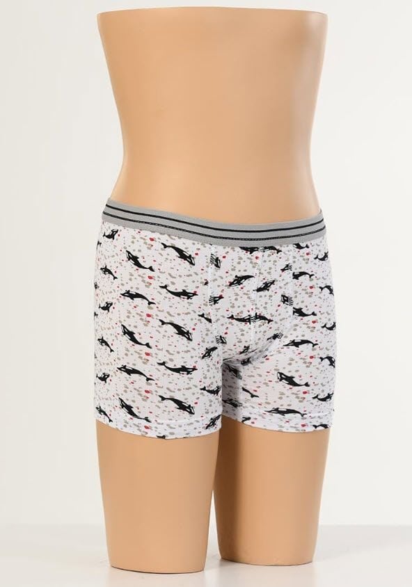 Aldeza Desenli Çocuk Boxer 6'lı