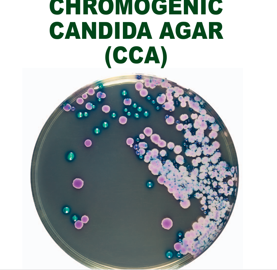 CHROMOGENIC CANDIDA AGAR20 plates