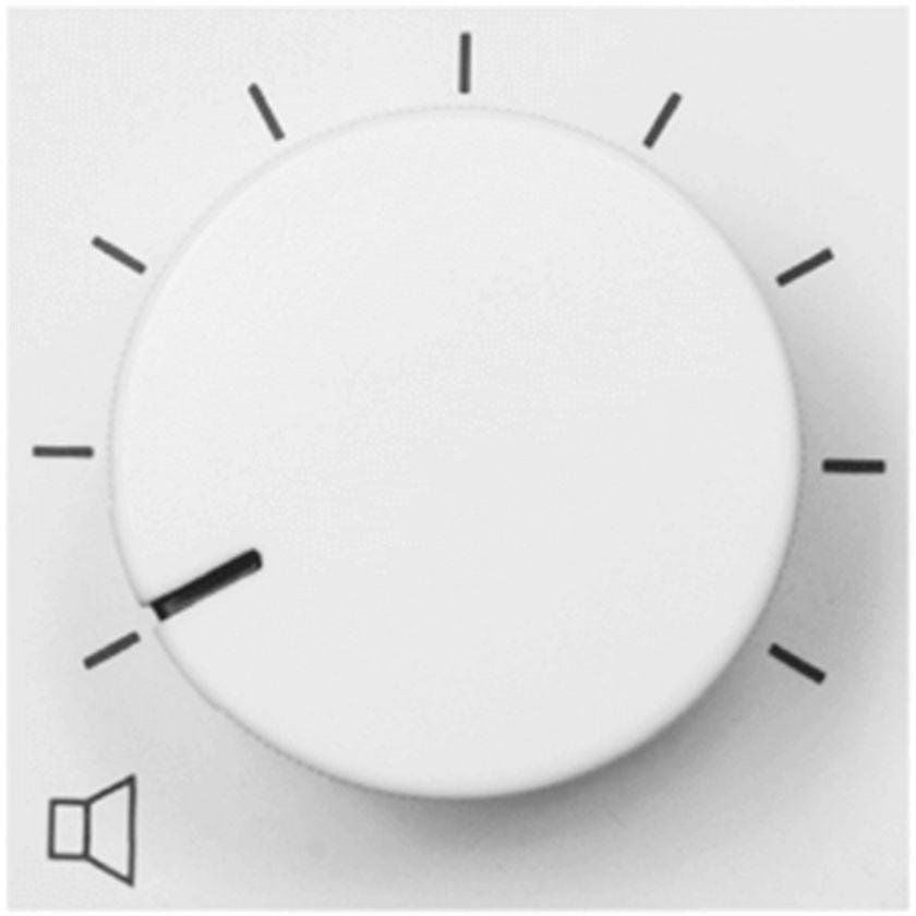 VC3036 100V volume controller 36W 45 x 45 mm