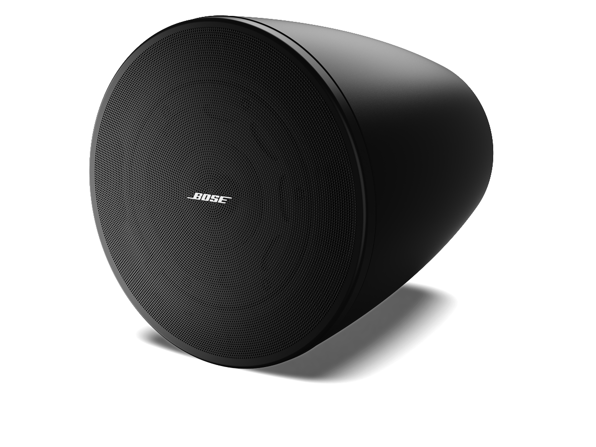Bose Professional DesignMax DM5P Asma Tipi Hoparlör (120° Kaplama, 111 dB SPL, İç Mekan)