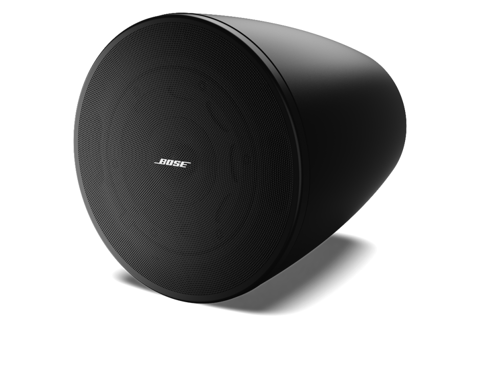 Bose Professional DesignMax DM5P Asma Tipi Hoparlör (120° Kaplama, 111 dB SPL, İç Mekan)