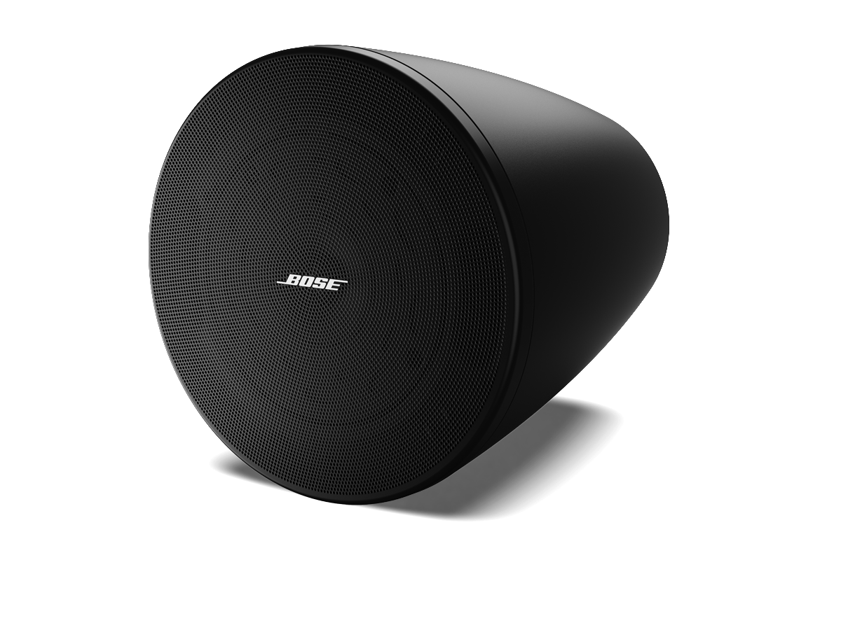 Bose Professional DesignMax DM5P Asma Hoparlörü (120° Kaplama, 105 dB Maks. SPL, İç Mekan)