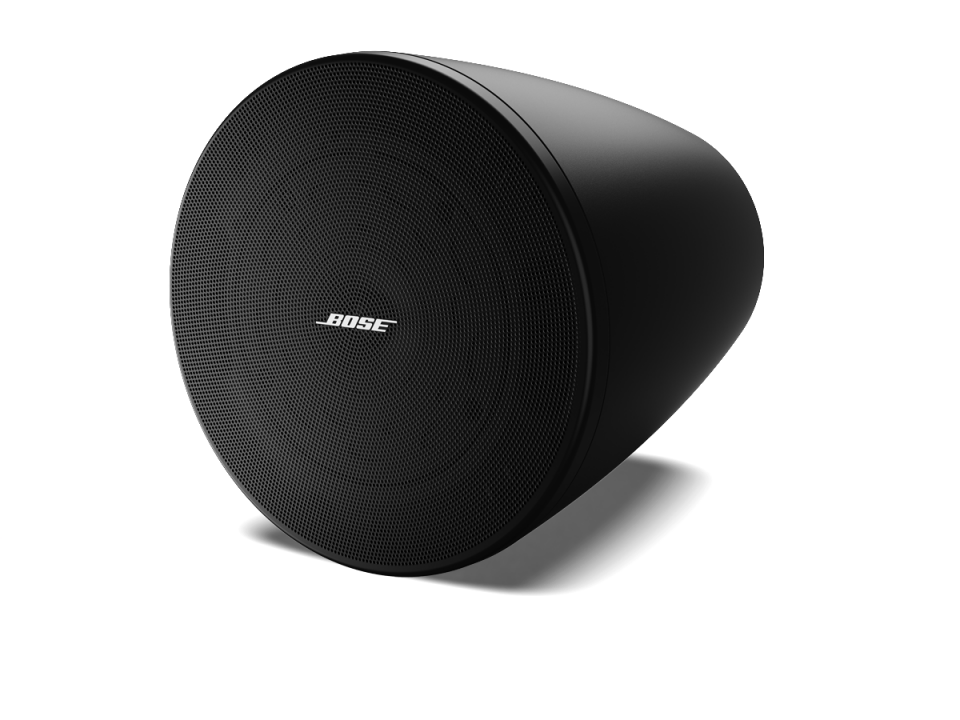 Bose Professional DesignMax DM5P Asma Hoparlörü (120° Kaplama, 105 dB Maks. SPL, İç Mekan)