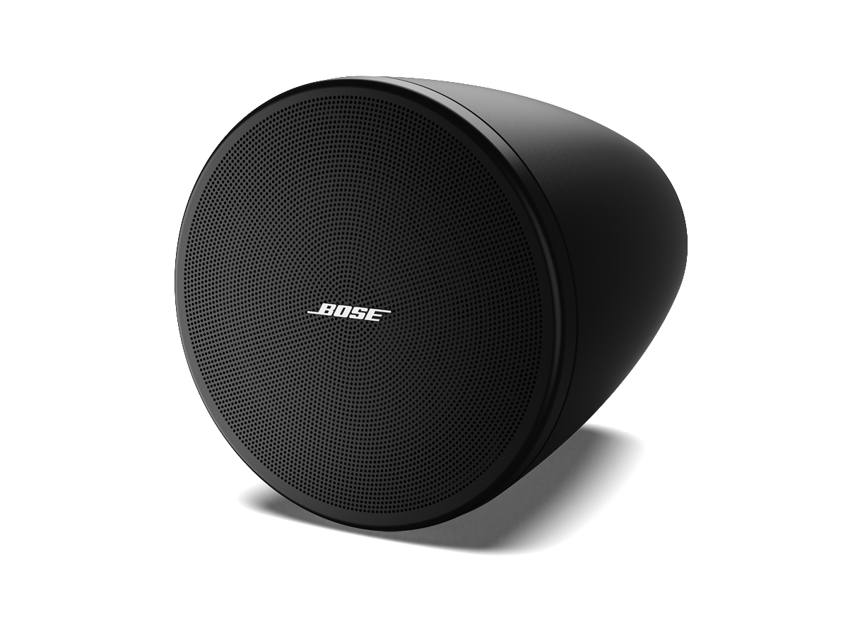 Bose Professional DesignMax DM2C-LP Tavan İçi Hoparlörü (150° Kaplama, 97 dB SPL, İç Mekan)
