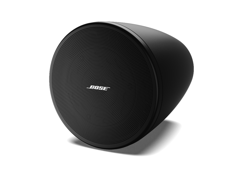 Bose Professional DesignMax DM2C-LP Tavan İçi Hoparlörü (150° Kaplama, 97 dB SPL, İç Mekan)