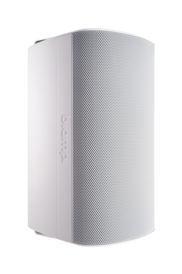 Biamp Desono EX-S10SUB Pasif Subwoofer (10'' Woofer, 300 W, İç/Dış Mekan)