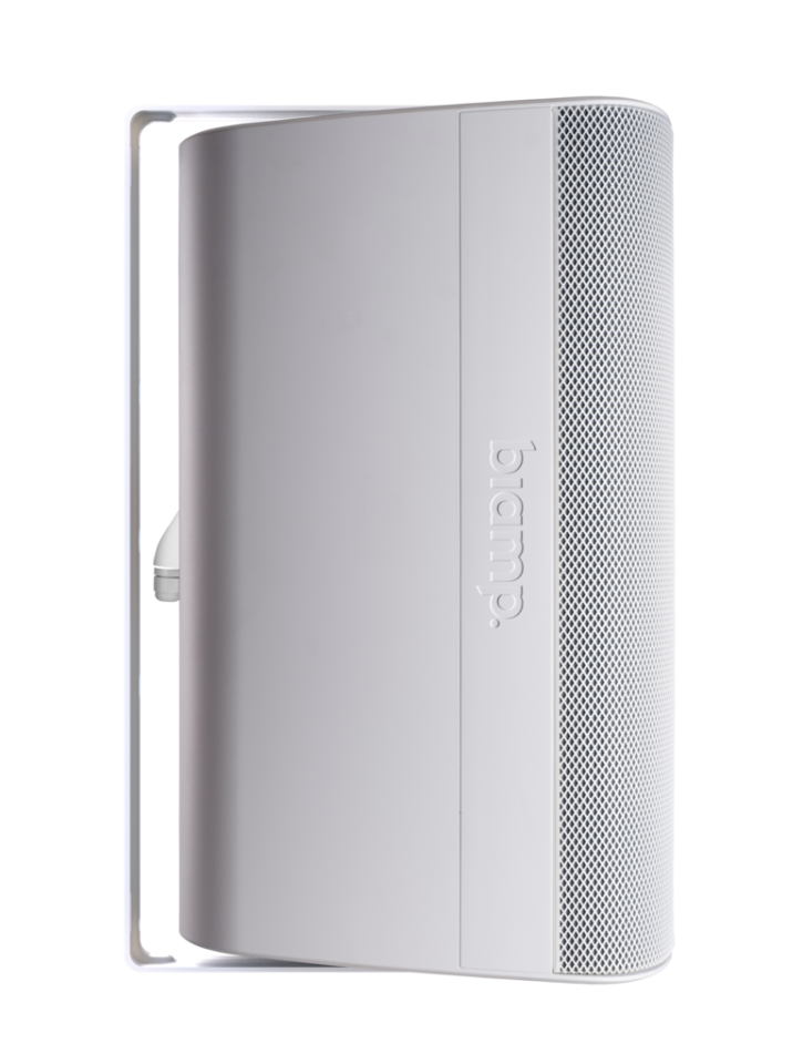 Biamp Desono EX-S10SUB Pasif Subwoofer (10'' Woofer, 300 W, İç/Dış Mekan)