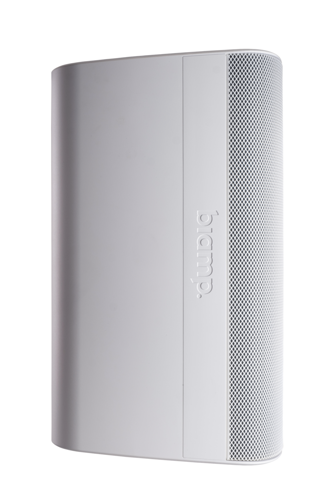 Biamp Desono EX-S10SUB Pasif Subwoofer (10'' Woofer, 300 W, İç/Dış Mekan)