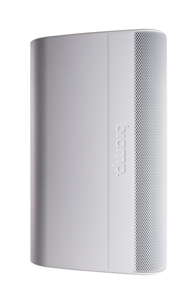 Biamp Desono EX-S10SUB Pasif Subwoofer (10'' Woofer, 300 W, İç/Dış Mekan)