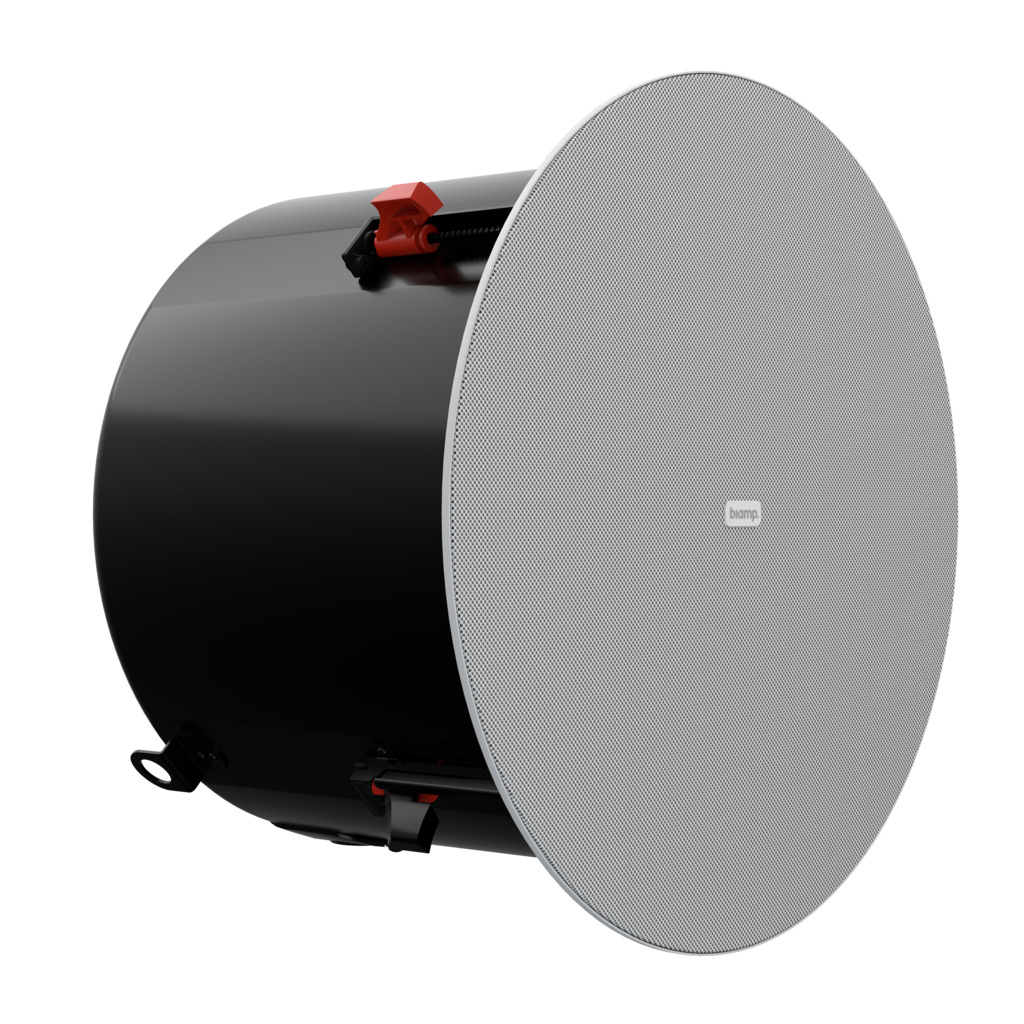 Biamp Desono DX-IC10SUB Pasif Subwoofer (10 inç, 200 W, İç Mekan)