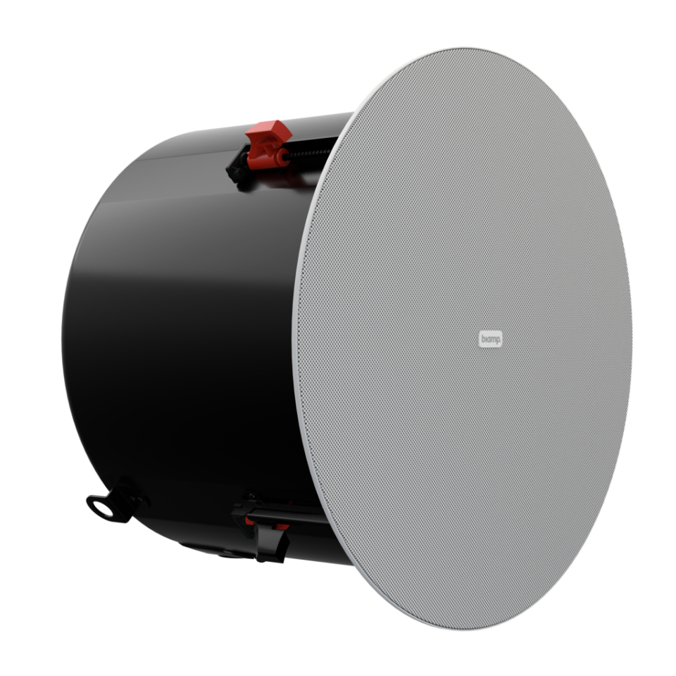 Biamp Desono DX-IC10SUB Pasif Subwoofer (10 inç, 200 W, İç Mekan)