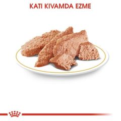 Royal Canin Chihuahua 85 gr Yetişkin Köpek Yaş Maması