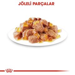 Royal Canin Sterilised Jelly Pouch Kısırlaştırılmış Kedi Maması