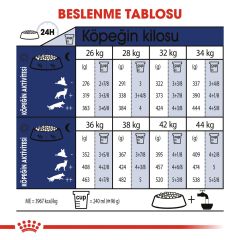 Royal Canin Maxi Adult 15 kg Büyük Irk Yetişkin Köpek Maması