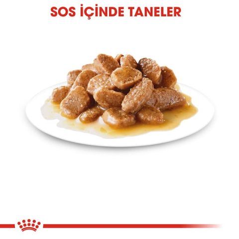 Royal Canin 12x85 gr Pouch Mini Adult Köpek Yaş Maması 12 Adet