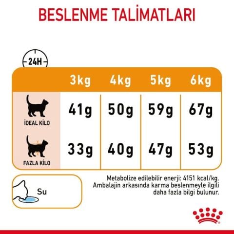 Royal Canin Hair Skin Deri ve Tüy Sağlığı için Kedi Maması 4 kg